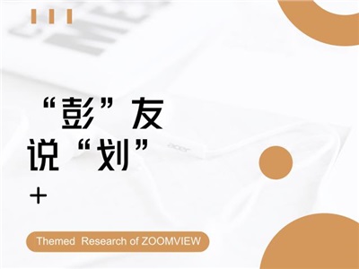 ZOOMVIEW专题研究丨“彭”友说“划”