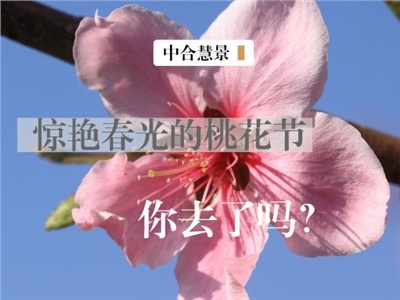 “彭”友说“划” | 如火如荼的桃花节，奏响乡村旅游“新乐章”