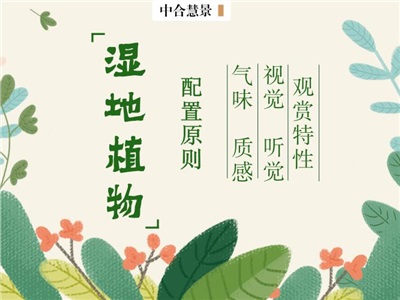 景观设计师必备的“湿地植物造景”技能Get！