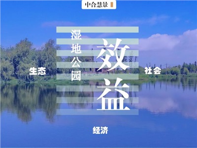 生态和社会效益双赢，颜值和价值兼具的湿地公园了解一下～