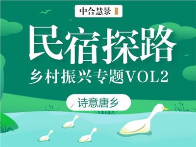 中合慧景乡村振兴专题研究VOL2 | 业态创新,民宿探路