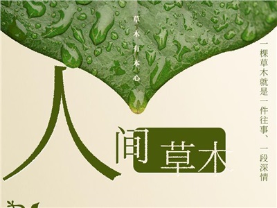 第三十六周：人间草木