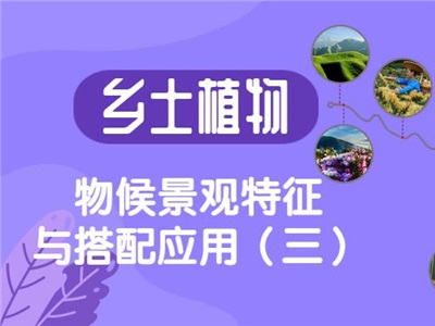 乡土植物物候景观特征与搭配应用（三）