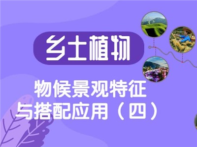 乡土植物物候景观特征与搭配应用（四）