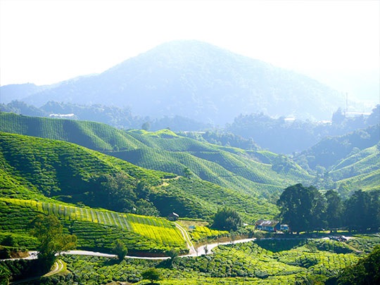 湖南·茶陵红色旅游规划