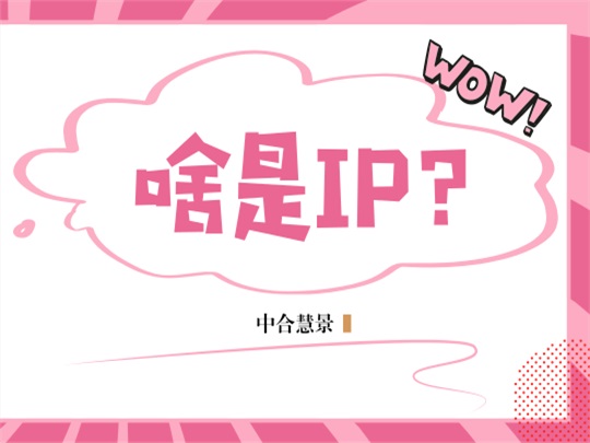 当我们谈论IP时,我们在谈论什么?