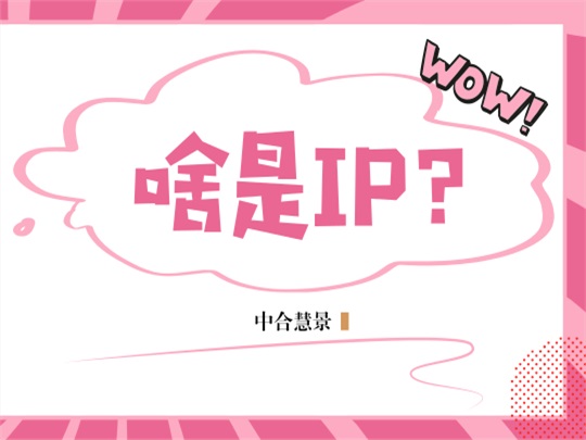 当我们谈论IP时，我们在谈论什么？