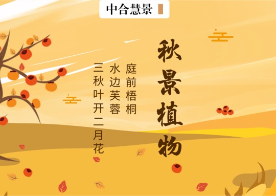 秋景植物的最佳CP到底是谁?园林景观如何利用“秋装”夺人眼球?