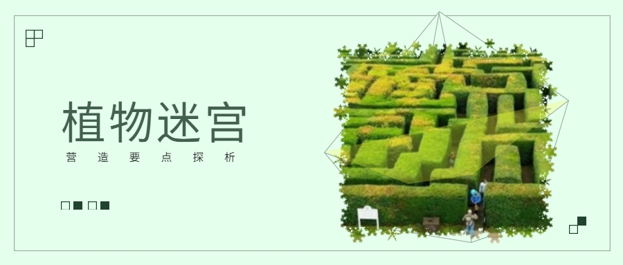 燃烧你的脑细胞！如何打造有“颜”又有趣的植物迷宫？