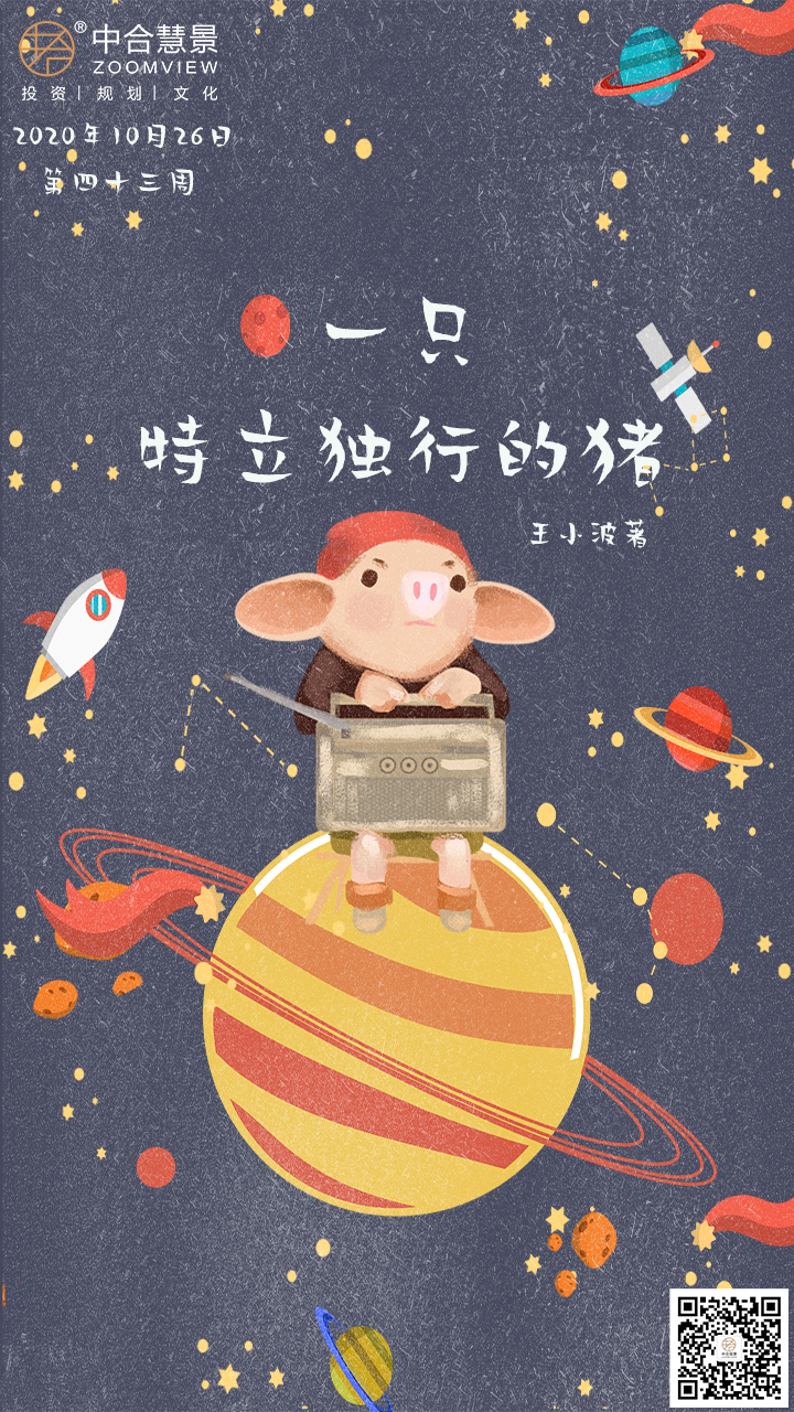 第四十三周：一只特立独行的猪