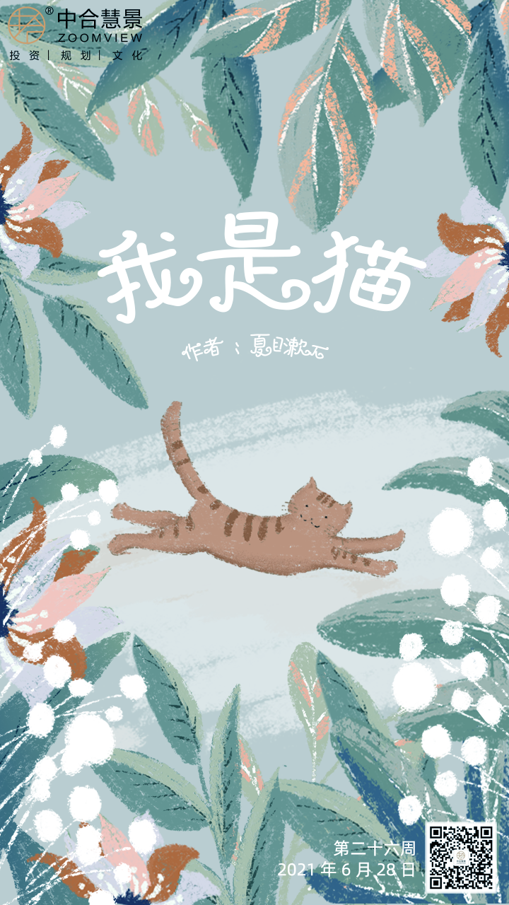 第二十六周：我是猫