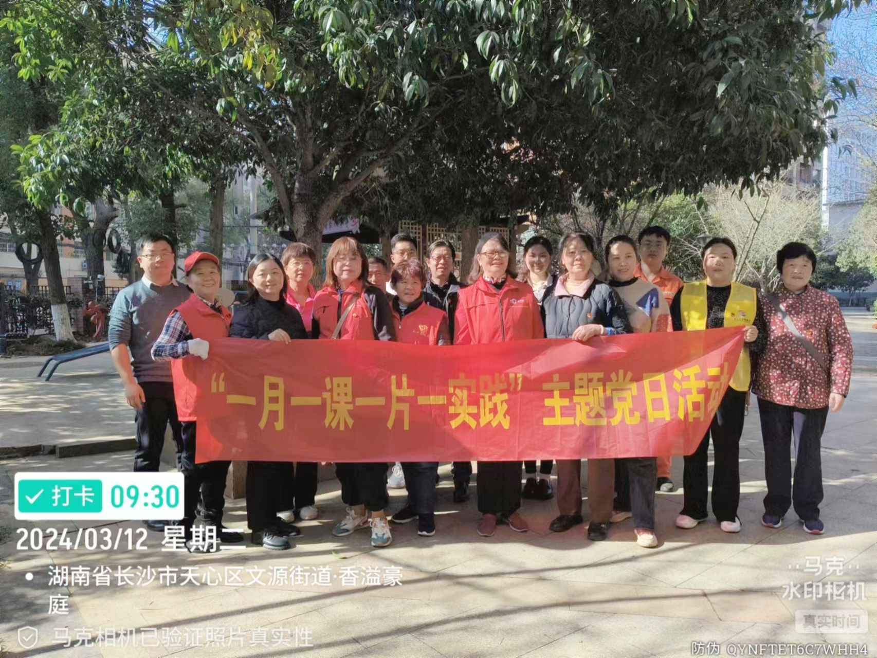 植树节 |“植”此青绿，拥抱春天，中合慧景党支部主题党日活动